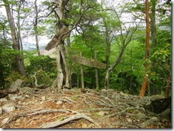 26帰りのお化粧山