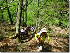 03　新緑の登山道