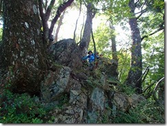 2-25夏木山の下りです