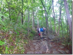 11石畳の登山道