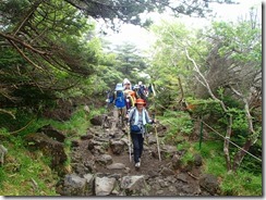 09もうすぐ樹林多を抜けます