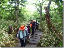 07整備された登山道