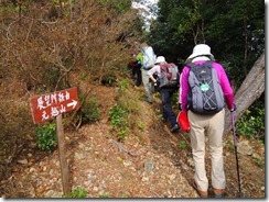 19ふたたび登山道に入ります