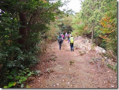 21登山道は何回も林道に合流します