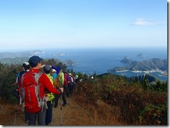 38米水津湾を見ながら下山です