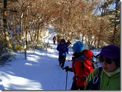 04穏やかな登山道を進みます