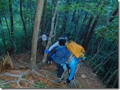 05 夜が明けてきました