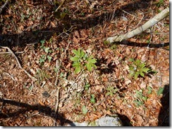 08DSCN0573