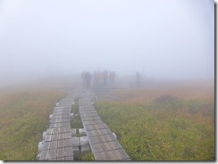 09　木道になりました