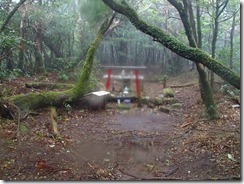 2-10稲尾岳山頂到着