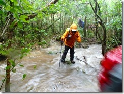 2-06登山道は水があふれています､ここは濡れてもやむなし