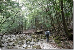 05祝子川渡渉点へ (2)