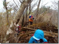 2-13倒木は盗木してほしいな～