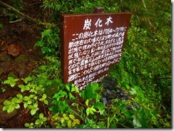 2-05P1020363