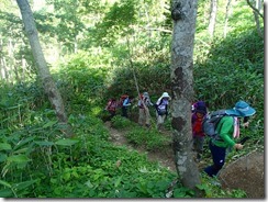 05最初は樹林帯の中を登っていきます