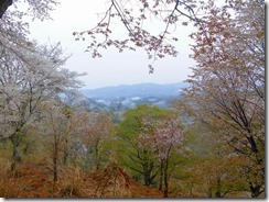 07　遠く雲海の中に浮かぶ山里の風景も風情がある