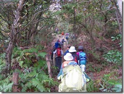 04足場の良い登山道