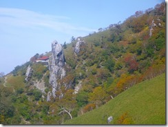 1-24P1030013