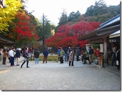 30千如寺の紅葉