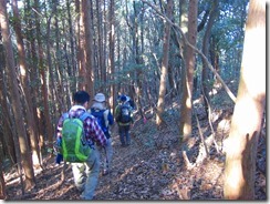 05新村分岐までのなだらかな稜線歩き