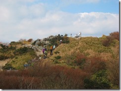 12井原山頂上を見る