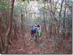 06新村分岐までのなだらかな稜線歩き