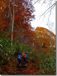 2-02登山道