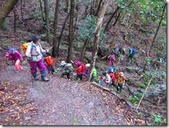 1-05本格的な登山道になりました