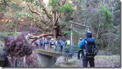 2-06山の神ご神木