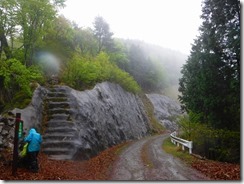 煤市林道登山口