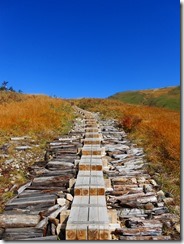 18木道になりました、登山道なのに・・・・