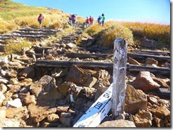 13　8合目、木階段状の登山道